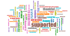 All stories about Southern Health & Social Care Trust / Continuity of Midwifery Carer Service: how did you feel? thumbnail