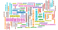 All stories about Southern Health & Social Care Trust / Continuity of Midwifery Carer Service: what was good? thumbnail