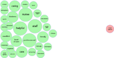 Care Opinion feedback themes - Community Care Group - April 2025 thumbnail