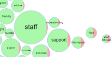 SHSCT - Care Opinion; District Nursing thumbnail